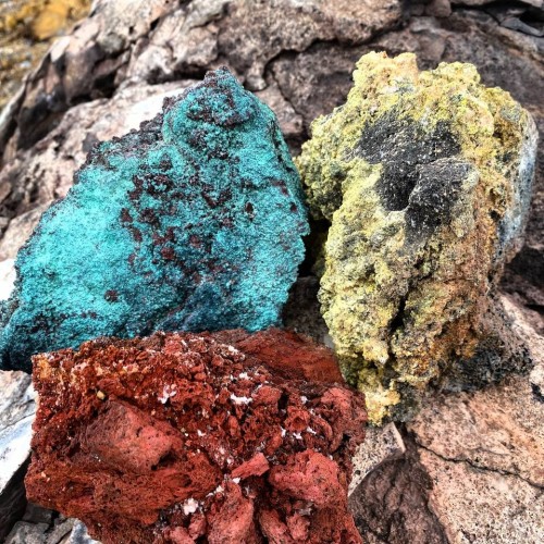 2500 км по Камчатке: вулканы, источники, океан