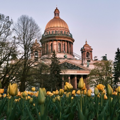 Петербург глазами горожан: легенды и истории