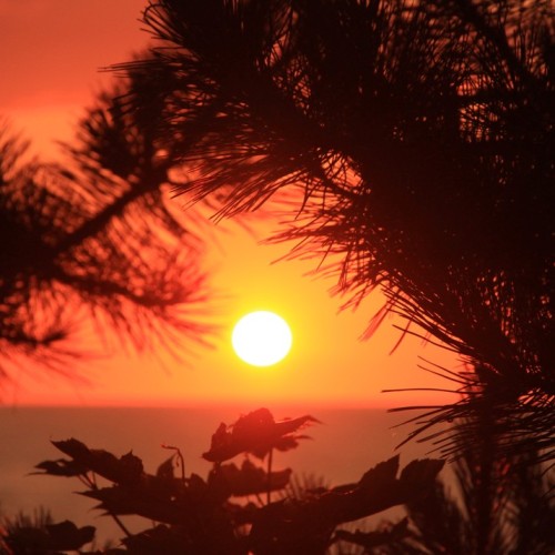 Замки, море и хомлины — лучшие места Калининградской области и дегустация на семейной сыроварне