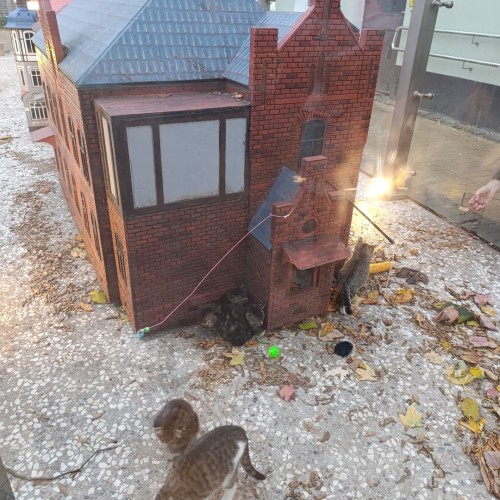 Встречай, янтарный край: индивидуальное путешествие по городам Калининградской области