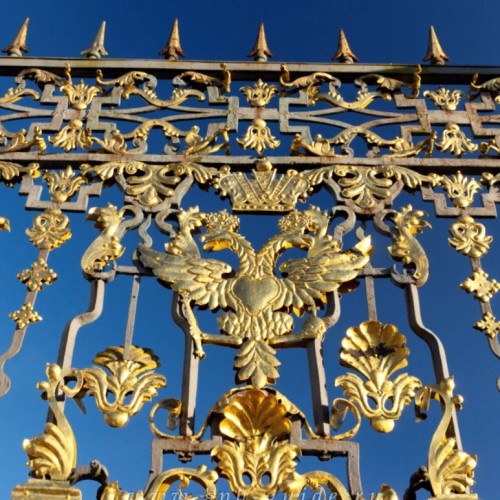 Царское Село: дворец с Янтарной комнатой, Екатерининский парк и лицей