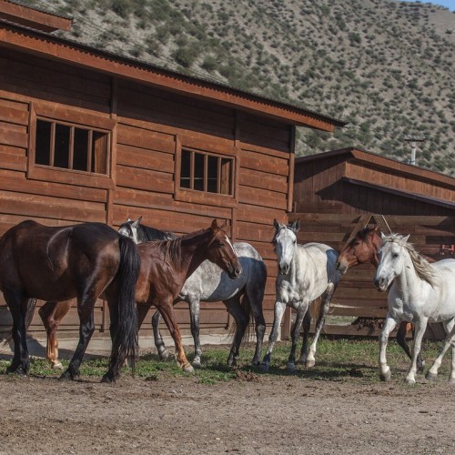 Комфорт-тур на Алтай с фотографом: полёт на вертолёте, парение и главные места (всё включено)