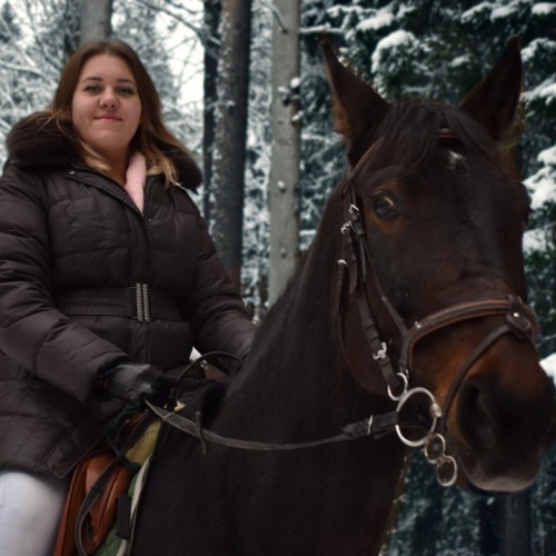 Верхом по Кавголовскому лесопарку — к питомнику зубробизонов