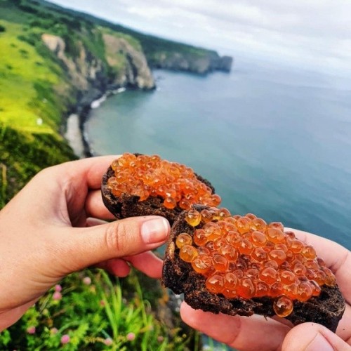 2500 км по Камчатке: вулканы, источники, океан