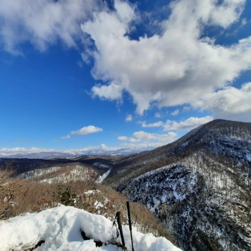 Большой тур по Сочи: природа, архитектура, история