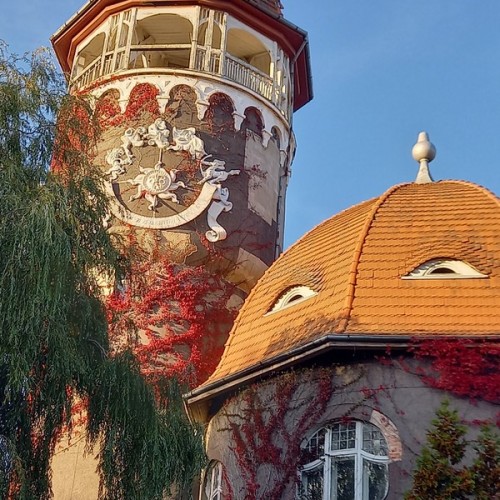 Светлогорск — маленькая Швейцария