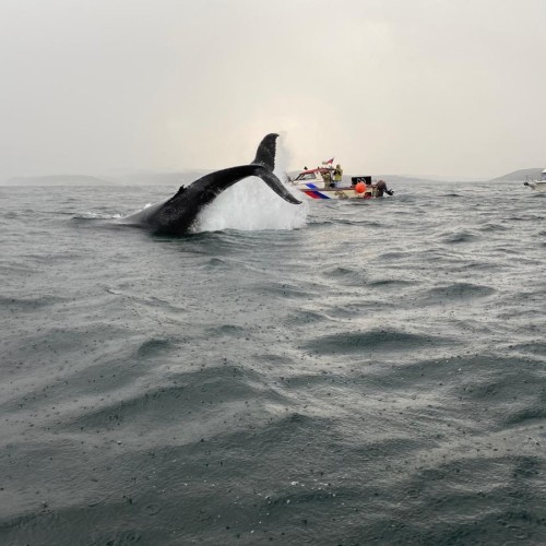 Разнообразие Севера: Териберка, Мурманск, Кировск и погружение в культуру