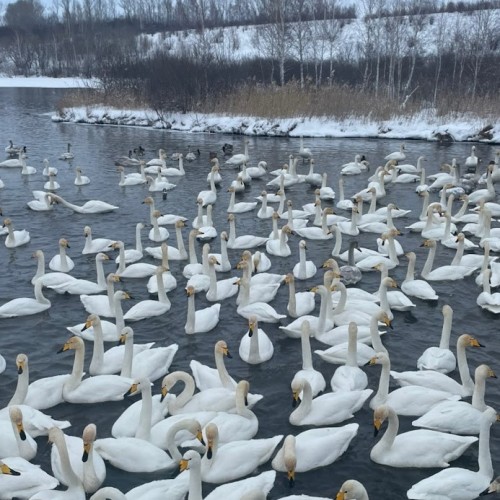 На Алтай за чудесами, энергией и видами (в сборной мини-группе)