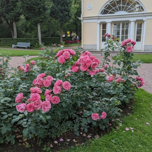 Детская экскурсия по Павловскому парку «Обитель муз»