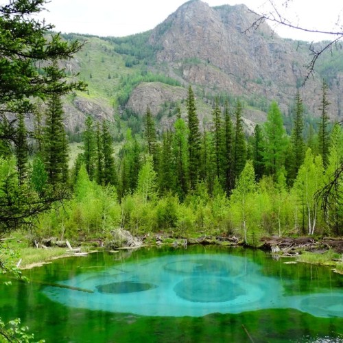 По Чуйскому тракту с алтайским гидом-музыкантом