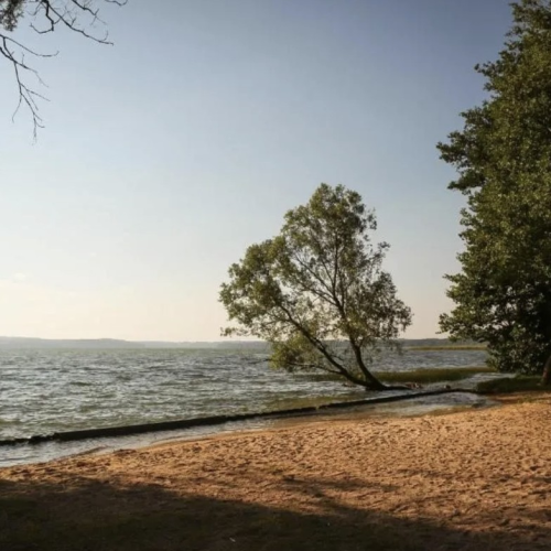 Портал в Средневековье: Правдинск, Гусев и Черняховск, Роминтенская пуща и Выштинецкое озеро
