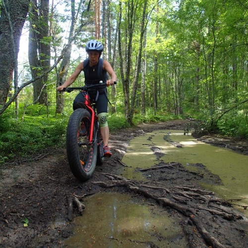 На «железном коне» по Карелии: велопрогулки по природным достопримечательностям