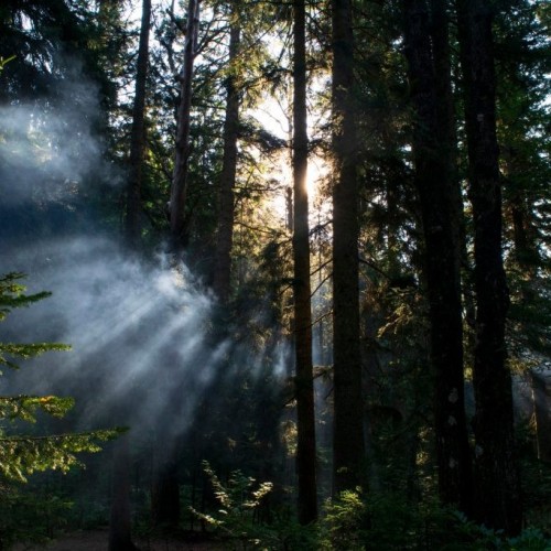 От Псебая до Красной Поляны: поход по горам с выходом к морю