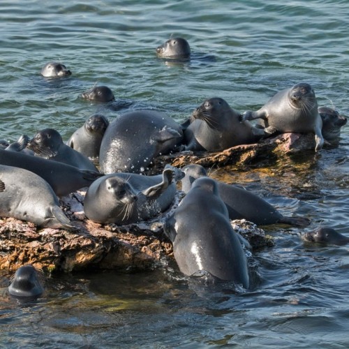 Макси-тур по Байкалу: водные круизы, лёгкий треккинг и экскурсии по знаковым местам