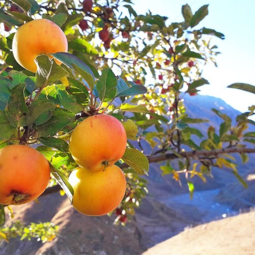 Выше облаков на 3760 метров на гору Шалбуздаг: треккинг налегке с проживанием в гостинице