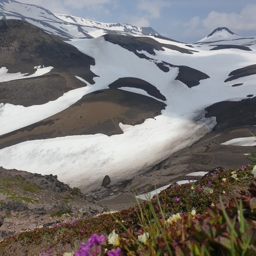 Камчатка в мини-группе: перевалы, бухты, сопки и купание в природных источниках