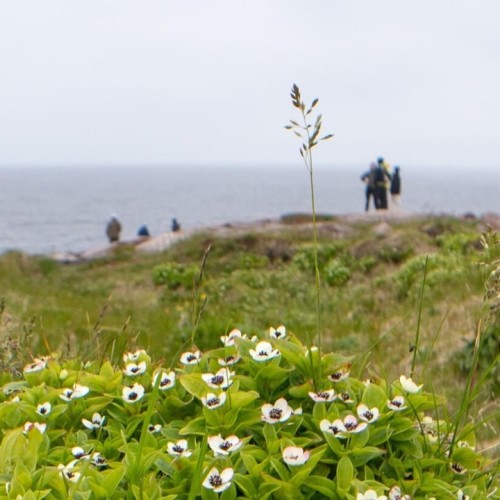 Северный экспресс-тур в мини-группе: Мурманск, Териберка и дополнительные активности на выбор