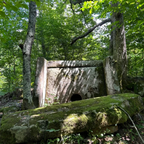 В гости к друиду: выходные в горной долине Шахе (мини-группа)