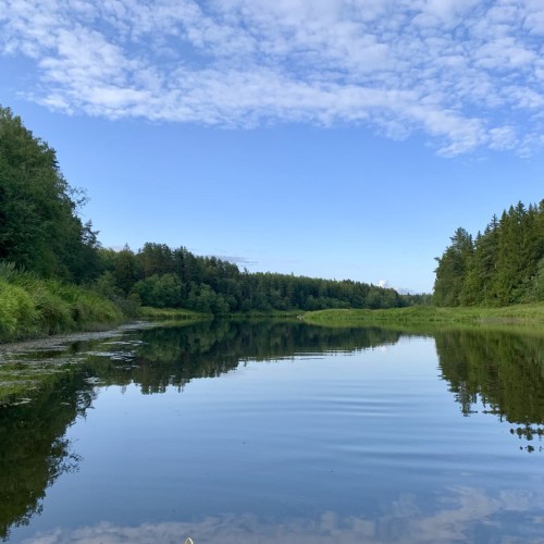 Детокс на Тверце: сплав на байдарках с посещением Торжка и «Василёво»