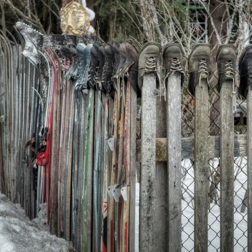 Комарово: аудиопрогулка по Лесной стороне