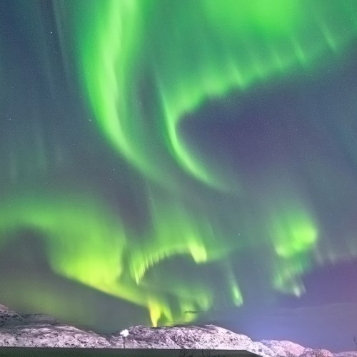 Новогодний отпуск в Териберке с праздничным ужином, арктическими блюдами и морскими деликатесами