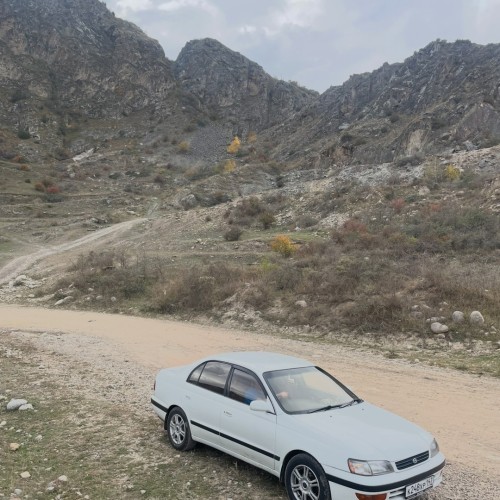 Своей компанией по Домбаю: Тебердинский заповедник, горы, пещеры, озёра