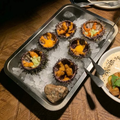 За атмосферой Арктики: тур из Мурманска в Териберку с дегустацией и прогулками по главным местам