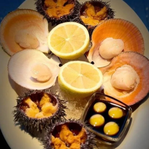 «Всё включено» на Кольском: охота за сиянием, снежное сафари, айс-флоатинг, арктическая кухня