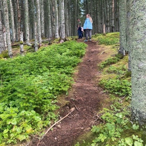 Объятый ветрами: автопутешествие по знаковым локациям Сахалина