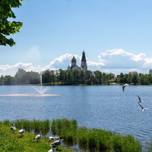 Живописный Сестрорецк