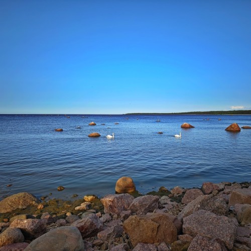 Из Петербурга — к фортам «Красная Горка», «Риф» и «Константин»