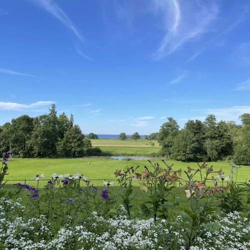 Атмосферная Александрия в Петергофе: когда фонтаны уже посмотрели