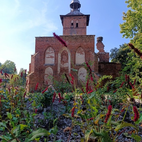 Встречай, янтарный край: индивидуальное путешествие по городам Калининградской области