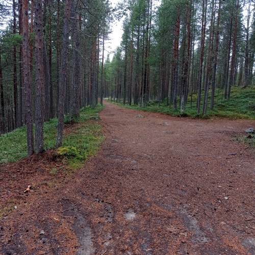 Терский и Кандалакшский берега Русского Севера: путешествие только для вашей компании