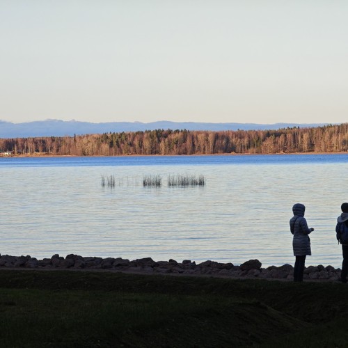 Уик-энд в Выборге с дегустациями, увлекательными историями и посещением Монрепо (мини-группа)