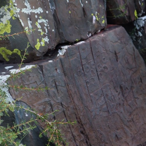 Алтайский максимум: все главные достопримечательности за неделю с комфортом (мини-группа)