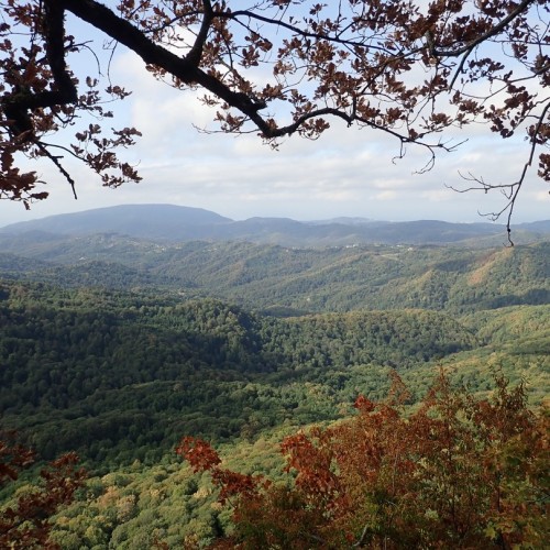 Большой тур по Сочи: природа, архитектура, история