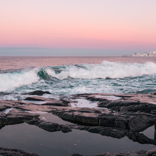Вкусное путешествие на край света в мини-группе: Мурманск и Териберка