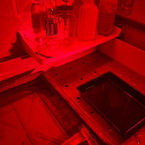 Фотография без камеры: мастер-класс по созданию фотограммы в Петербурге