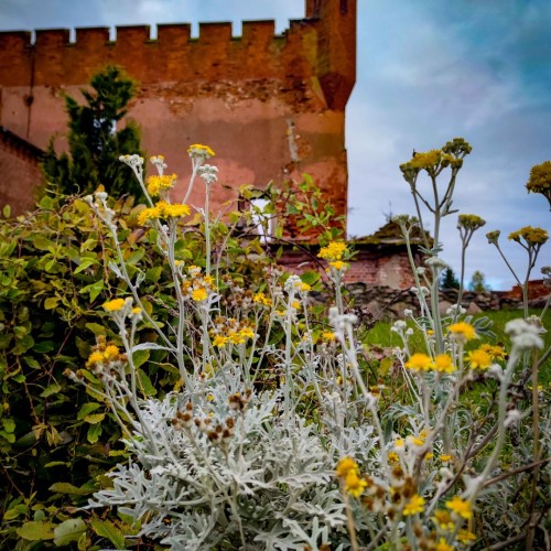 Балтийский берег: Калининград, Куршская коса и очарование курортов