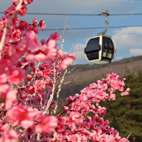 Майские праздники на Алтае: Чемал, Чуйский тракт, перевал Кату-Ярык и Телецкое озеро (мини-группа)