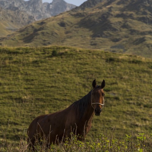 Прогулки по Приэльбрусью с проживанием в уютных отелях