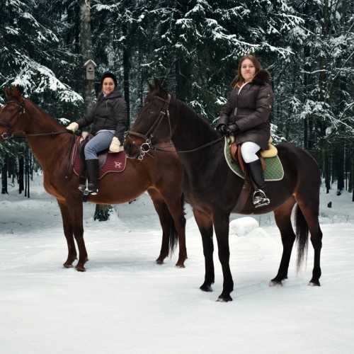 Конная экскурсия по Шуваловскому парку