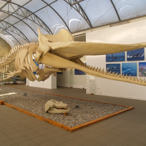 Гранд-тур по Калининграду и области с выбором экскурсий