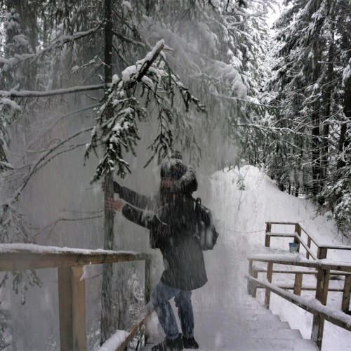Долина водопадов и треккинг по карельскому лесу с хаски!