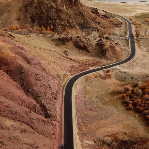 Лиловый наряд Алтая: путешествие по знаковым локациям и цветение маральника