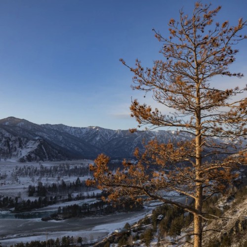 Алтайские чудеса: водопады, горы, озёра и марсианские пейзажи в мини-группе