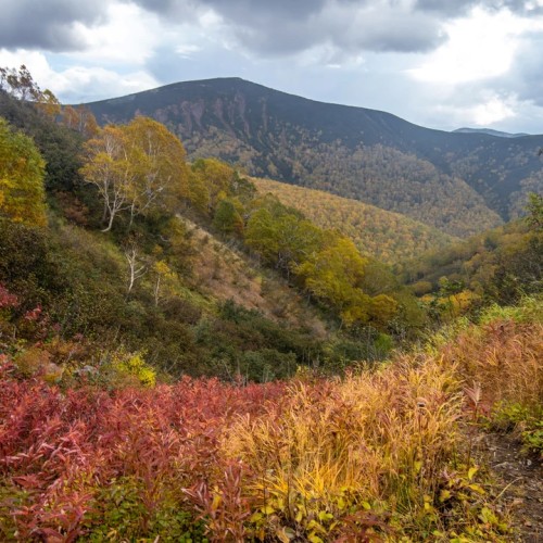 Большой поход с рюкзаками и палатками по Камчатке: вулканы, Тихий океан, термы и альпийские луга