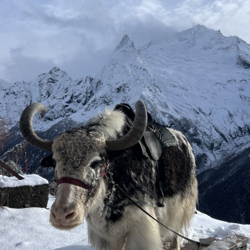 Молодёжный тур в Домбай: лёгкие треккинги, природные чудеса и отель 4* с видом на вершины