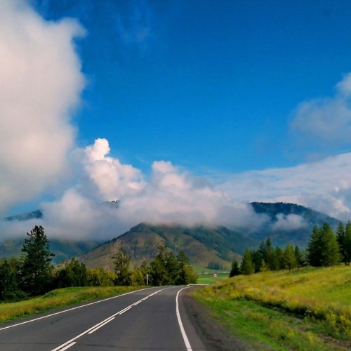 Алтайские места силы и древние петроглифы (в мини-группе)